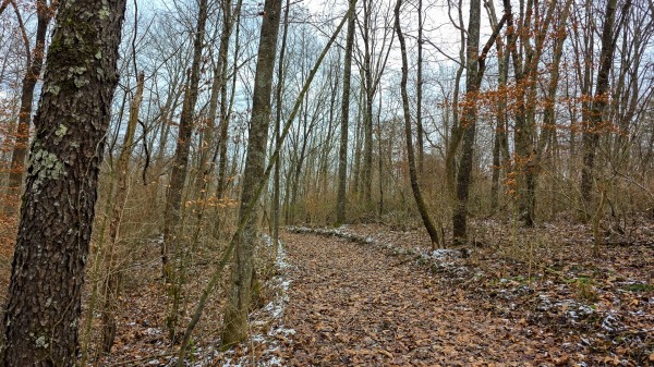 Lot 12 at Scenic Trails property photo