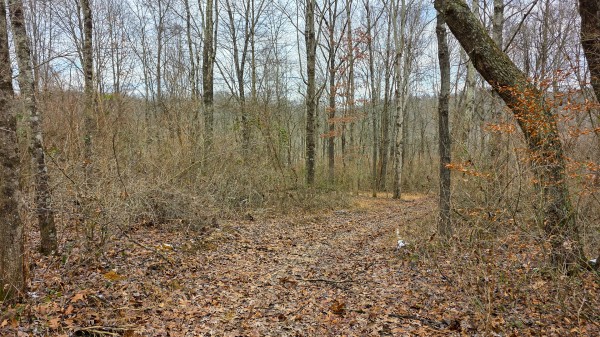Lot 12 at Scenic Trails property photo