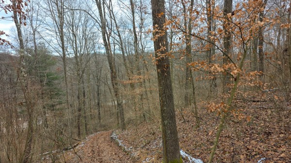 Lot 12 at Scenic Trails property photo