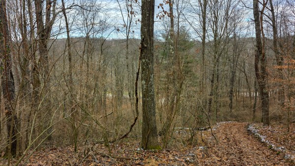 Lot 12 at Scenic Trails property photo