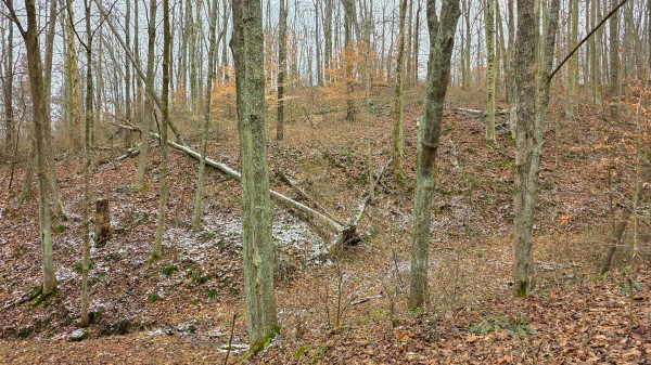 Lot 12 at Scenic Trails property photo