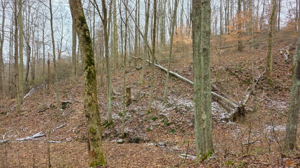 Lot 12 at Scenic Trails property photo