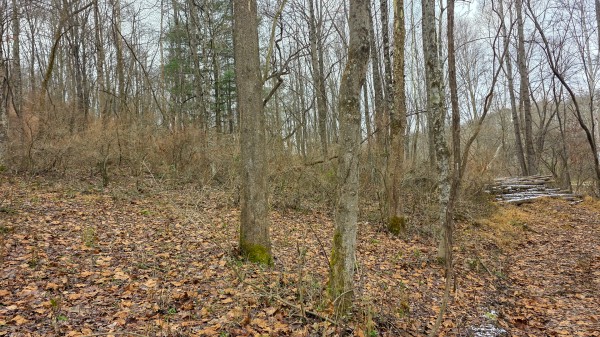 Lot 12 at Scenic Trails property photo