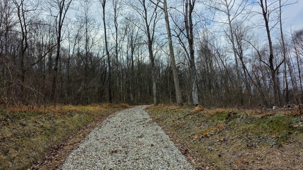 More of Lot 12 at Scenic Trails