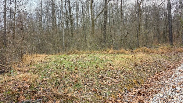 More of Lot 12 at Scenic Trails
