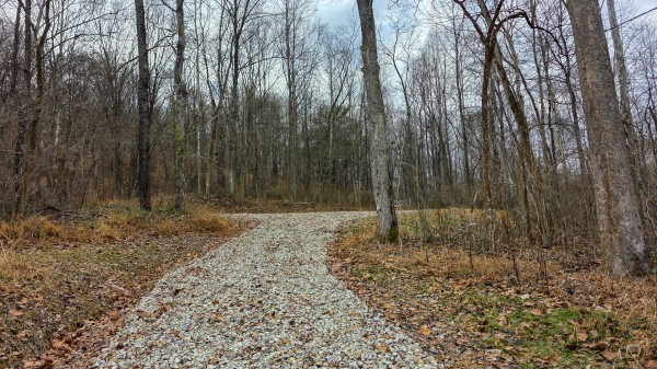 More of Lot 12 at Scenic Trails