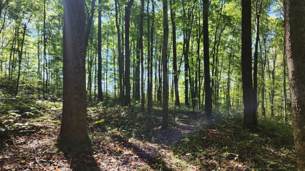 The Ponds at Poplar Ridge – Tract 13 property photo