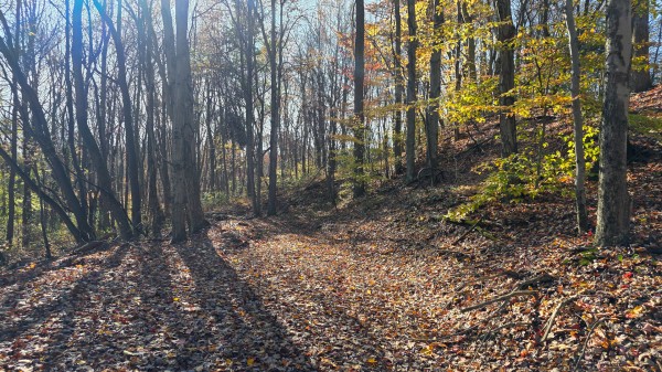 The Ponds at Poplar Ridge – Tract 13 property photo