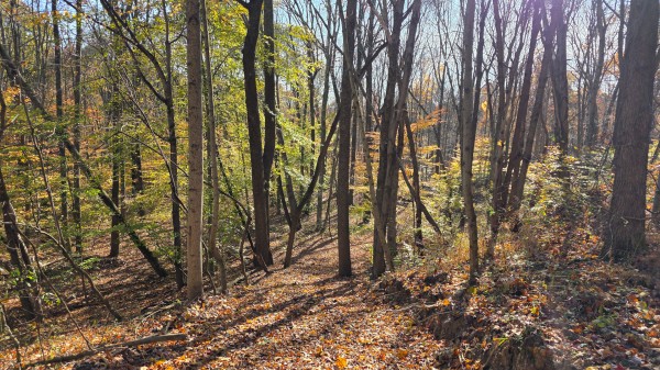The Ponds at Poplar Ridge – Tract 13 property photo