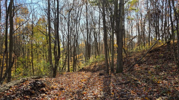 The Ponds at Poplar Ridge – Tract 13 property photo