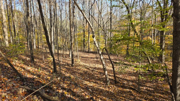 The Ponds at Poplar Ridge – Tract 13 property photo