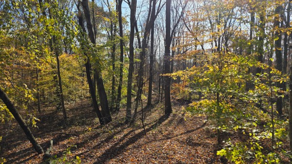 The Ponds at Poplar Ridge – Tract 13 property photo
