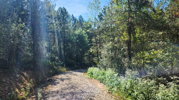 The Ponds at Poplar Ridge – Tract 13 property photo