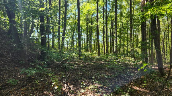 The Ponds at Poplar Ridge – Tract 13 property photo