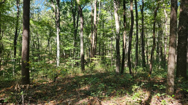 The Ponds at Poplar Ridge – Tract 13 property photo