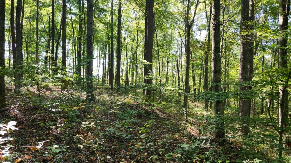 The Ponds at Poplar Ridge – Tract 13 property photo