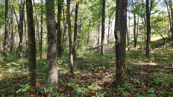 The Ponds at Poplar Ridge – Tract 13 property photo