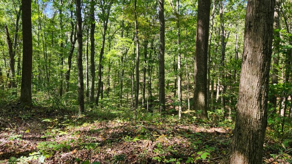 The Ponds at Poplar Ridge – Tract 13 property photo