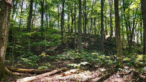 The Ponds at Poplar Ridge – Tract 13 property photo