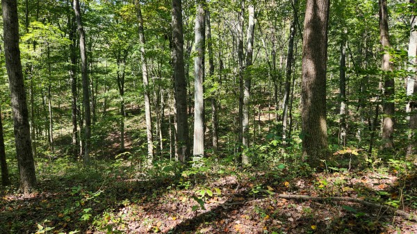 The Ponds at Poplar Ridge – Tract 13 property photo