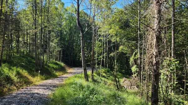 More of The Ponds at Poplar Ridge – Tract 13
