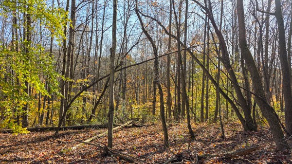 The Ponds at Poplar Ridge – Tract 13 property photo