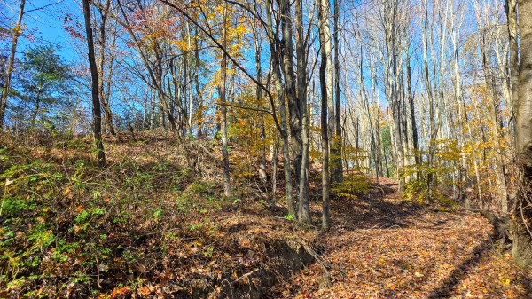 The Ponds at Poplar Ridge – Tract 13 property photo