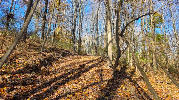 The Ponds at Poplar Ridge – Tract 13 property photo