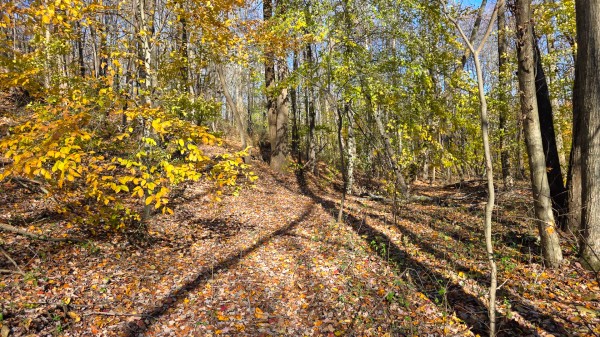 The Ponds at Poplar Ridge – Tract 13 property photo