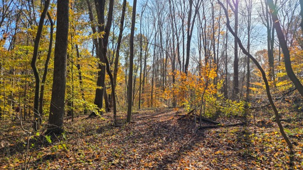 The Ponds at Poplar Ridge – Tract 13 property photo