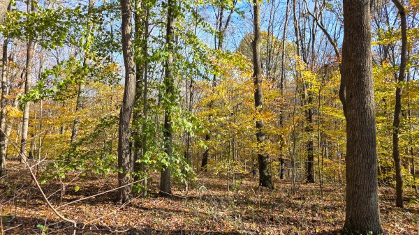 The Ponds at Poplar Ridge – Tract 13 property photo
