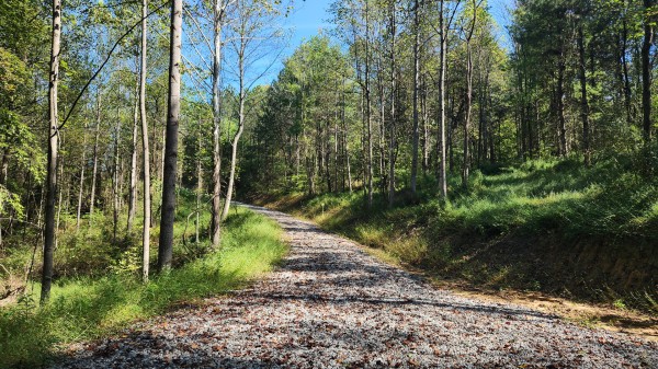More of The Ponds at Poplar Ridge – Tract 13