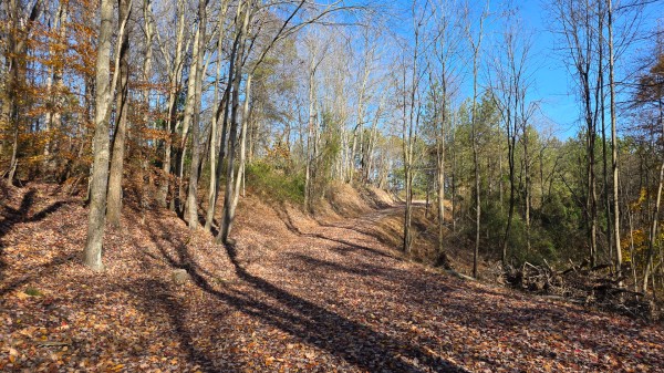 More of The Ponds at Poplar Ridge – Tract 13
