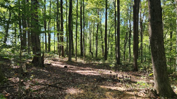 The Ponds at Poplar Ridge – Tract 13 property photo
