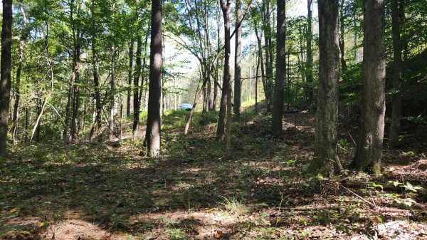 The Ponds at Poplar Ridge – Tract 13 property photo