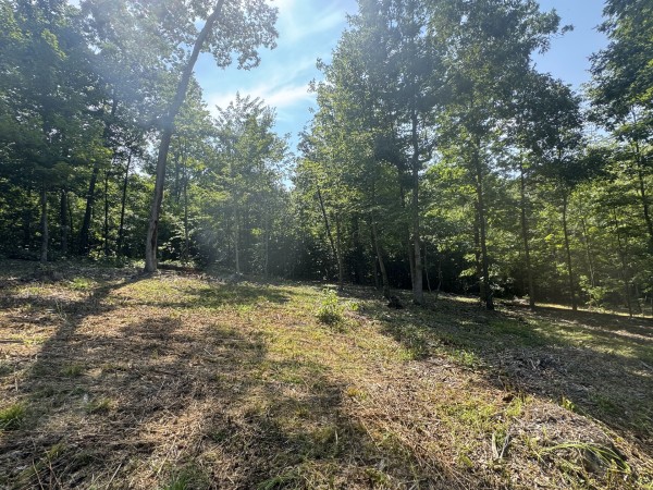 Tract 15 at Skyline Acres property photo