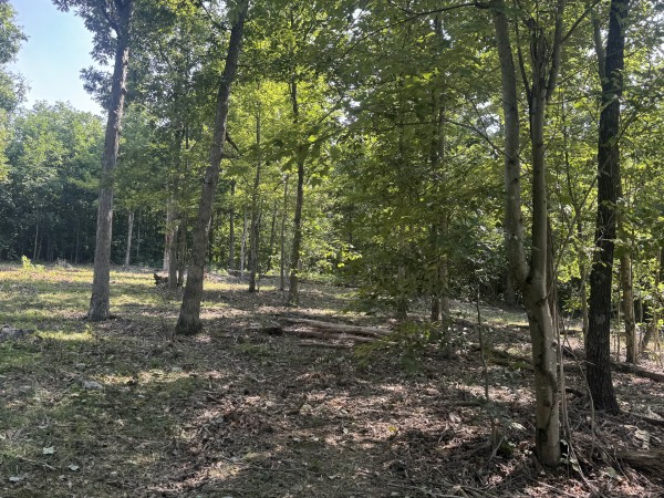 Tract 15 at Skyline Acres property photo