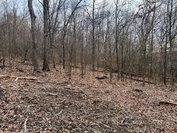 Tract 15 at Skyline Acres property photo