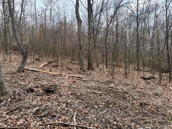 Tract 15 at Skyline Acres property photo