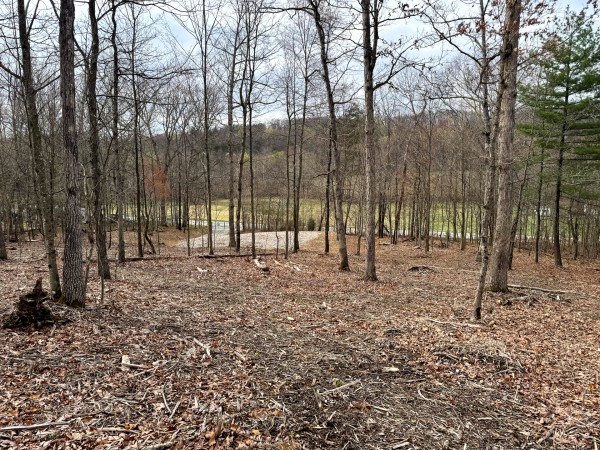 Tract 15 at Skyline Acres property photo