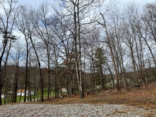 Tract 15 at Skyline Acres property photo