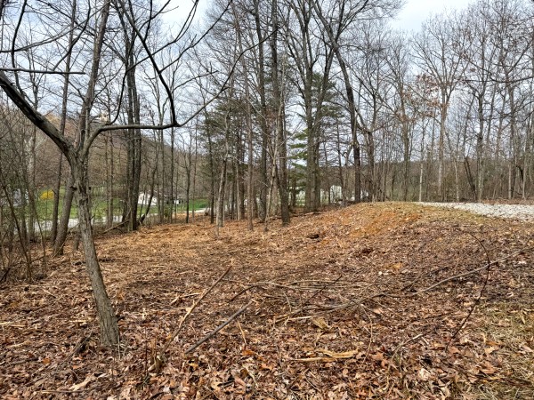 Tract 15 at Skyline Acres property photo