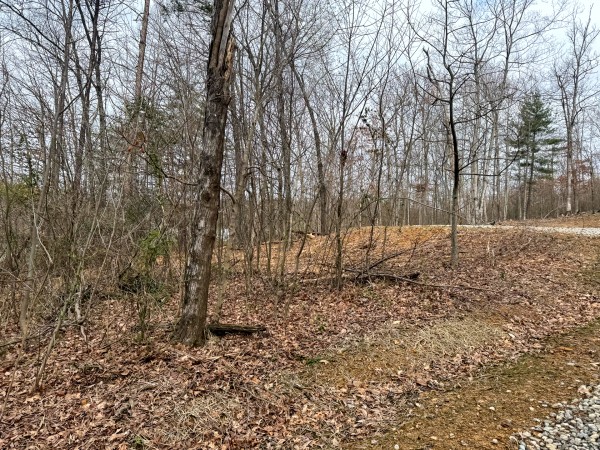 Tract 15 at Skyline Acres property photo