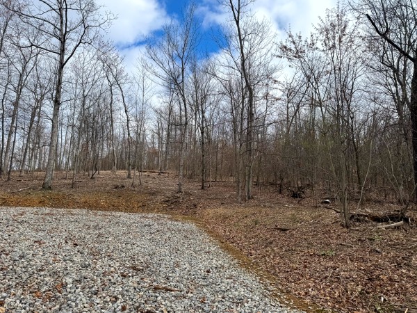 Tract 15 at Skyline Acres property photo