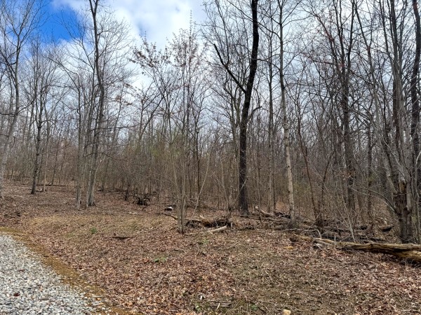 Tract 15 at Skyline Acres property photo