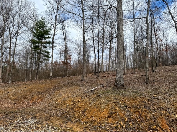 Tract 15 at Skyline Acres property photo