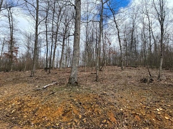 Tract 15 at Skyline Acres property photo
