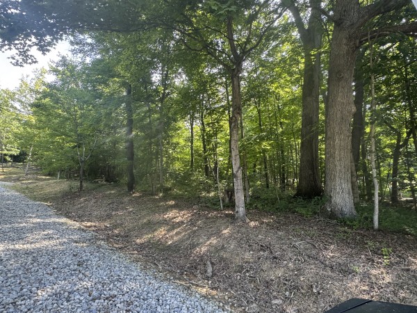 More of Tract 15 at Skyline Acres