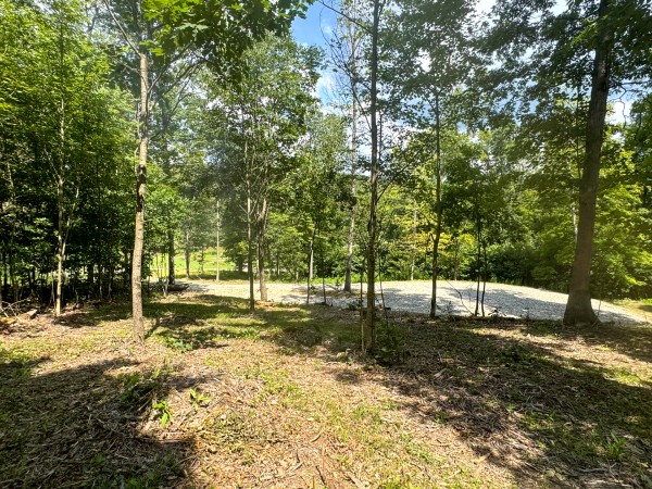 Tract 11 at Skyline Acres property photo