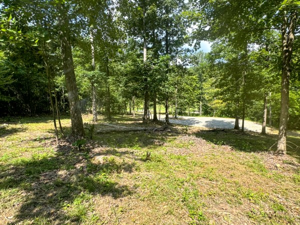 Tract 11 at Skyline Acres property photo